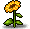 Little Sunflower