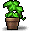 Small Potted Vine