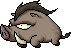 Wild Boar
