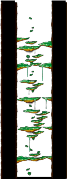 Dungeon, Southern Forest II