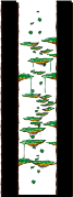 Dungeon, Southern Forest IV