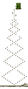 The Forest of Patience <Step 1>