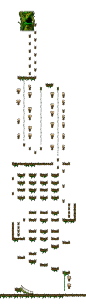 The Forest of Patience <Step 2>