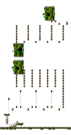 The Forest of Patience <Step 3>