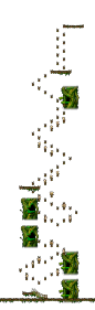 The Forest of Patience <Step 5>