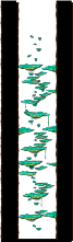Tree Dungeon, Forest Up North I