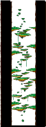 Tree Dungeon, Forest Up North II