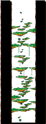 Tree Dungeon, Forest Up North III