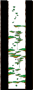 Tree Dungeon, Forest Up North V