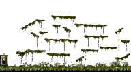 The Swamp of Despair I
