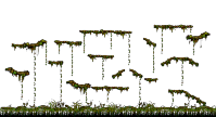 The Swamp of Despair III