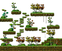 In a Small Forest