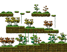 Dangerous Forest